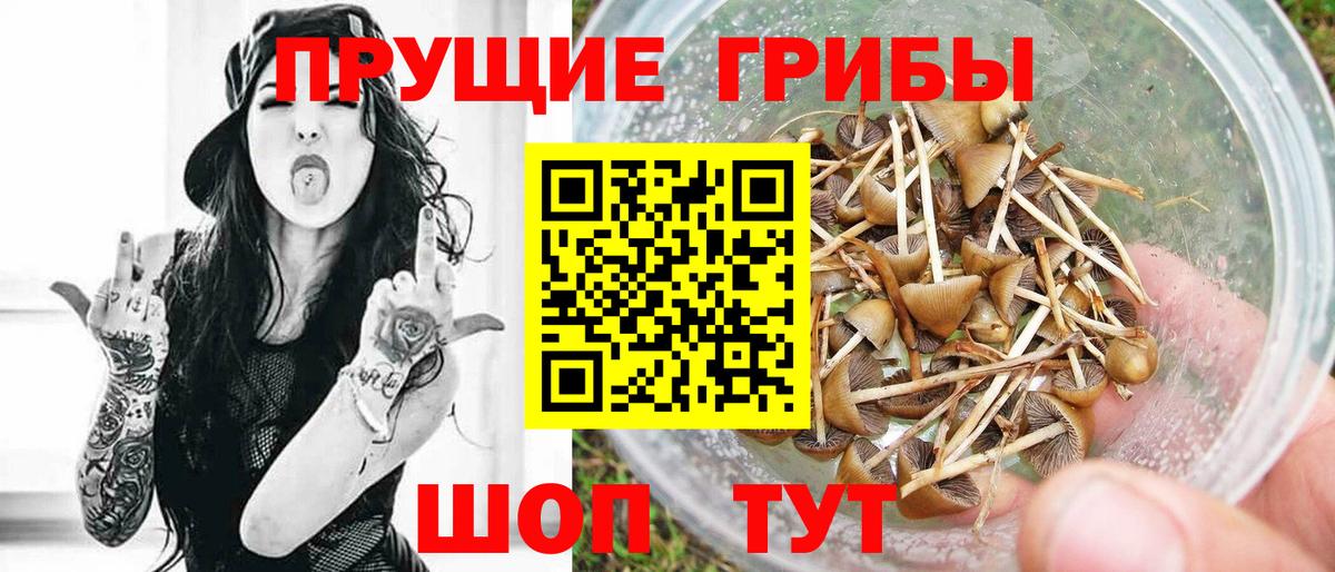 Псилоцибиновые грибы ЛСД  Вход с VPN  Заводоуковск  Галлюциногенные грибы Psilocybine cubensis 