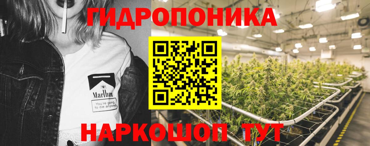 Бошки марихуана планчик  Вход с VPN  Заводоуковск  МАРИХУАНА Amnesia 